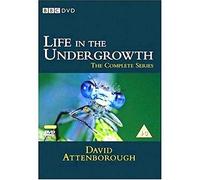 Life in the Undergrowth – David Attenborough – Série complète – Import anglais – BBC