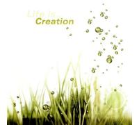 Life Is.. . Creation