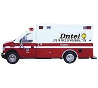 LIFE IS FULL OF POSSIBILITIES