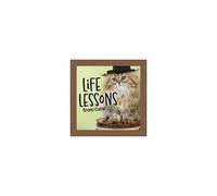 Life Lessons From Cats!