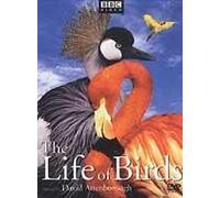 The Life of Birds [Import USA Zone 1]