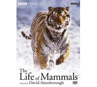 Life of Mammals 1-4