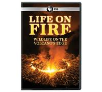 Life on Fire: Wildlife on The Volcanos Edge