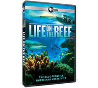 Life on The Reef [Blu-Ray]