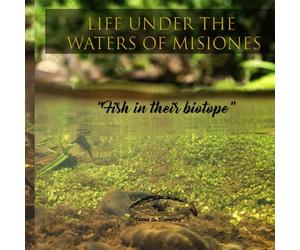 Life under the waters of Misiones: Fish in their biotope