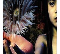 Lifeforms (1994-05-16)