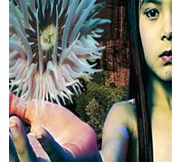 The Future Sound of London – Lifeforms – 2 CD