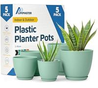 Lifemaster Pot de Fleurs, Menthe