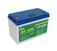 LiFePO4 Batterie 36 V 30 Ah 40 A 1080 Wh Batterie lithium-fer phosphate pour modélisme, camping, bateau