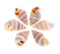LIFKOME 100 Pièces pendentif conque charme de bijoux de coquillage perles de bijoux côtiers Accessoires de fabrication de bijoux charme de bijoux nautiques souvenirs de bord de mer conques