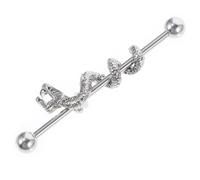 LIFKOME Boucle Oreille Industrial Dragon Tête Acier Inoxydable Barbell Percing Sans Irritation Unisexe