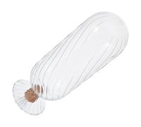 LIFKOME Flacon en Verre Transparent avec Bouchon en Liège, Bouteille Décorative Inversée Haute, Contenant D'échantillons pour Graines et Allumettes, Accessoire Polyvalent pour Maison,