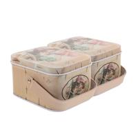 LIFKOME Lot de 2 Boîtes en Fer-blanc avec Poignée, Coffret de Rangement pour Biscuits et Bonbons de Pâques, Boîtes à Œufs de Pâques Colorées, pour Emballage et Décoration Festive