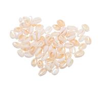 LIFKOME Lot de 2 Pendentifs Coquillage Naturel Spiralé Irrégulier 12-14 MM 40 G Breloques Décoratives pour Création de Bijoux Perles Coquillage pour DIY Décoration Marine