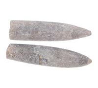 LIFKOME Lot de 2 Spécimens Naturels de Bélemnite 5-6 Cm, Ornement Éducatif en Fossile pour Étude Paléontologique, Décoration Authentique pour Passionnés de Géologie et Collection