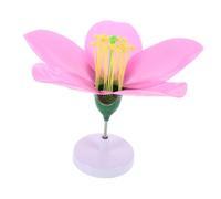 LIFKOME Modèle Agrandi Fleur de Pêcher Biologie pour Collège Lycée Outil Pédagogique Portable Expérience Éducative Structure Réaliste Principes de Végétale
