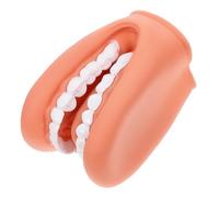 LIFKOME Modèle Pédagogique de Dents Humaines pour Enseignement, Grosse Mâchoire Didactique, Démonstration Brossage, Plastique Solide, Usage Scolaire et Professionnel