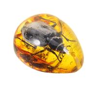 LIFKOME Pendentif en Résine Ambre de Coléoptère, Spécimen Décoratif Ambre Insecte, Accessoire DIY pour Création Bijoux, Artisanat Créatif, Motif Scarabée Ambré, Taille Moyenne