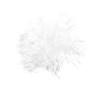 LIFKOME Perruque Blanche Bouclée Pour Déguisement De Fête Déguisement De Fête À Thème Scientifique