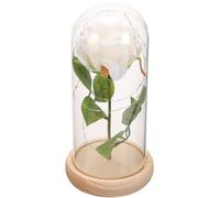 LIFKOME Rose Éternelle sous Cloche en Verre Base Bois Clair Décoration d'Intérieur Élégante pour Saint-Valentin Fleur Préservée Blanche sans LED Présent Romantique pour Maison et