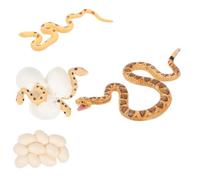 LIFKOME Set de 4 Figurines de Cycle de Vie de Serpent à Sonnettes Factices en PVC, Jouet Éducatif Créatif pour Garçon et Filles, Amélioration des Capacités Cognitives, Présent D’éveil