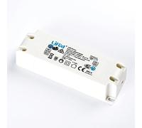 LIFUD LF-GIR020YI0500H Transformateur Électronique Pilote LED 21 W 500 mA 27-42 V Transformateur Pilote Non Variable Blanc