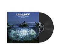 Ligabue - Arrivederci, Mostro in Acustico