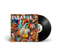 Ligabue – Dedicato a Noi – Vinyle – Import (2023) – Warner Music
