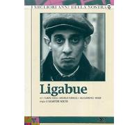 Ligabue Episodi 01-03
