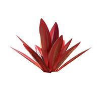 Ligeinsrk Plantes d'agave en métal 13,78 Pouces décor extérieur Tequila Sculpture Rustique Metal Agave Yard Art Sculpture Statue Jardin Jardin décor Ornement vins Plantes Rouges extérieur