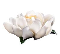 Ligeinsrk Porte-Bougie à Lotus Blanc - Porte-lumière en céramique pour décor de Table, Conception de pétales Fleurs élégantes