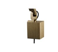 LIGHT-POINT - Dark Applique Murale Brass