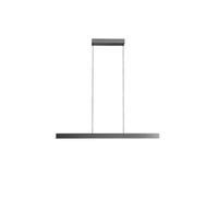 Light Point Edge Linear S1000 Pendelleuchte, titané
