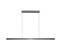 Light Point Edge Linear S2000 Pendelleuchte, titané