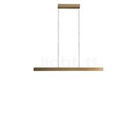 Light Point Edge Linear Suspension LED laiton - 100 cm - 2.700-5.000 K