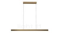 Light Point Edge Linear Suspension LED laiton - 150 cm - 2.700-5.000 K
