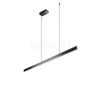 Light Point Edge Linear Suspension LED noir - 150 cm