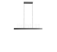Light Point Edge Linear Suspension LED titane - 100 cm , Vente d'entrepôt, neuf, emballage d'origine Ce luminaire comporte des modules à LED prémontés de classes énergétiques A A++, A+, A