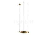 Light Point Edge Round Suspension LED laiton - ø40 cm