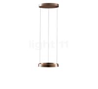 Light Point Edge Round Suspension LED or rose - ø40 cm - 2.700-5.000 K Ce luminaire comporte des modules à LED prémontés de classes énergétiques A A