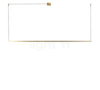 Light Point Stripe Suspension LED laiton - 200 cm