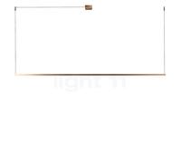 Light Point Stripe Suspension LED or rose - 200 cm