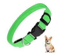 Light Up Dog Collier - Réfléchissant Quick-Release, Senior Pet Neck Collier avec lumière LED | Safety and Visibility for Dogs During Camping, Hiking, Night Walks, Travel, Holidays, Training, Yard