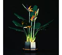 LIGHTAILING Jeu De Lumières Compatible avec Lego 10289 Bird of Paradise Modèle en Blocs De Construction - Ne Figurant Pas sur Le Modèle