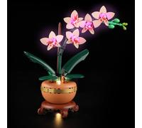 LIGHTAILING Jeu de Lumières pour Lego-10343 L’orchidée Miniature - Modèle en Blocs De Construction - Ne Figurant Pas sur Le Modèle