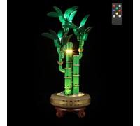 LIGHTAILING Jeu de Lumières pour Lego-10344 Le Bambou de la Chance - Modèle en Blocs De Construction：Version Télécommande - Ne Figurant Pas sur Le Modèle