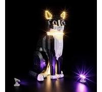 LIGHTAILING Jeu de Lumières pour Lego-21349 Le Chat Bicolore - Modèle en Blocs De Construction - Ne Figurant Pas sur Le Modèle