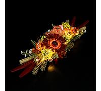LIGHTAILING Light For Lego 10314 Centre de table à fleurs séchées - Kit d'éclairage LED compatible avec le modèle Lego - Ensemble de modèles non inclus