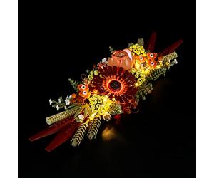 LIGHTAILING Light for Lego 10314 Centre de table à fleurs séchées - Kit d'éclairage LED compatible avec le modèle Lego - Ensemble de modèles non inclus
