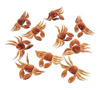 LIGHTAOTAO 10 Pièces Leurre de Pêche Factice en PVC de Crabe, Léger et Résistant à l'usure, Appât Portable Pêche en Extérieur Simulation Réaliste